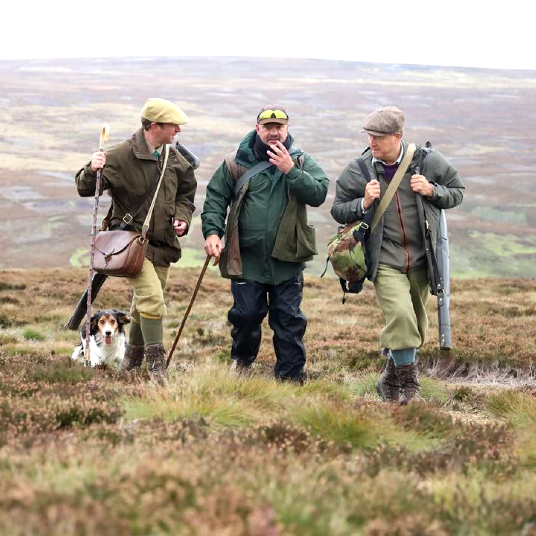 Korean Spiced Partridge