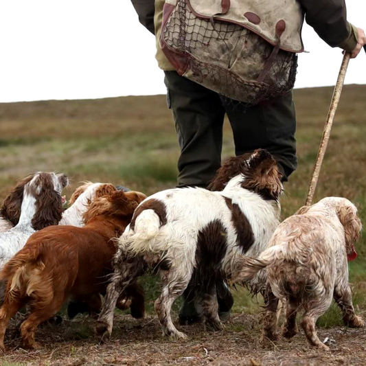 Slow Cooked Duck ‘Shotgun Shells’