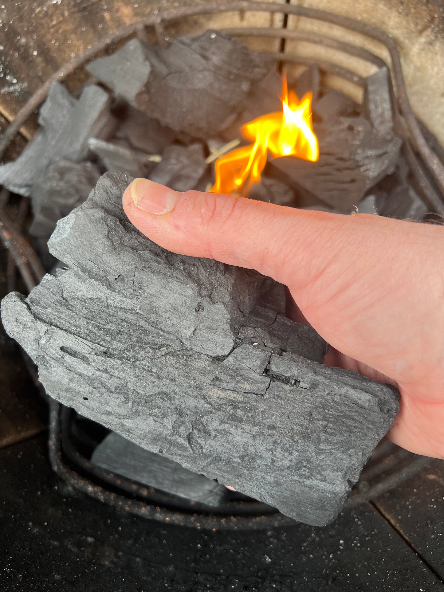 Mixed Hardwood Charcoal