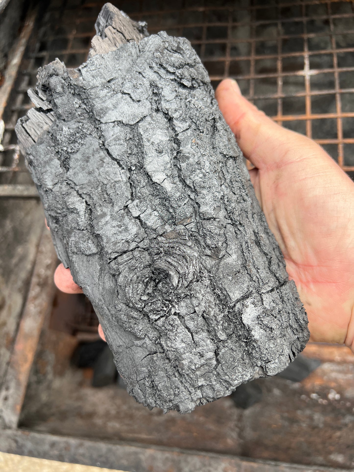 Mixed Hardwood Charcoal