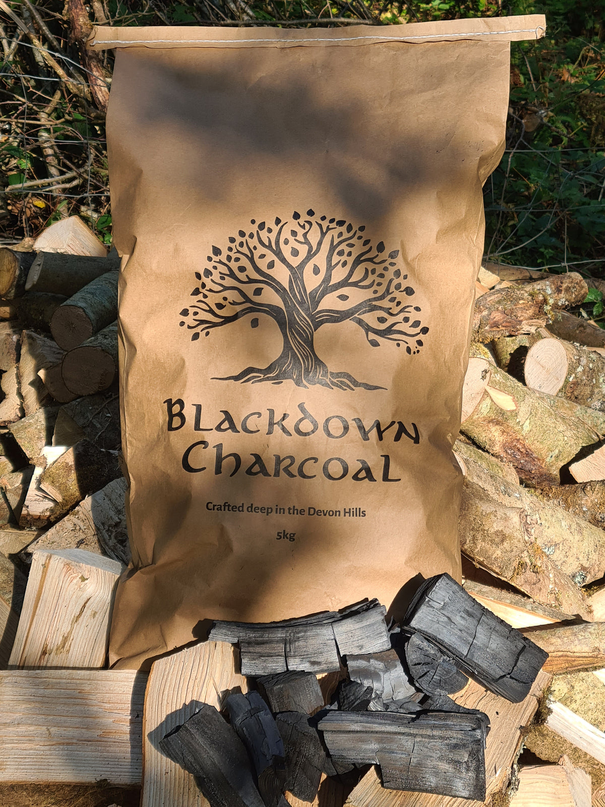 Ash Charcoal