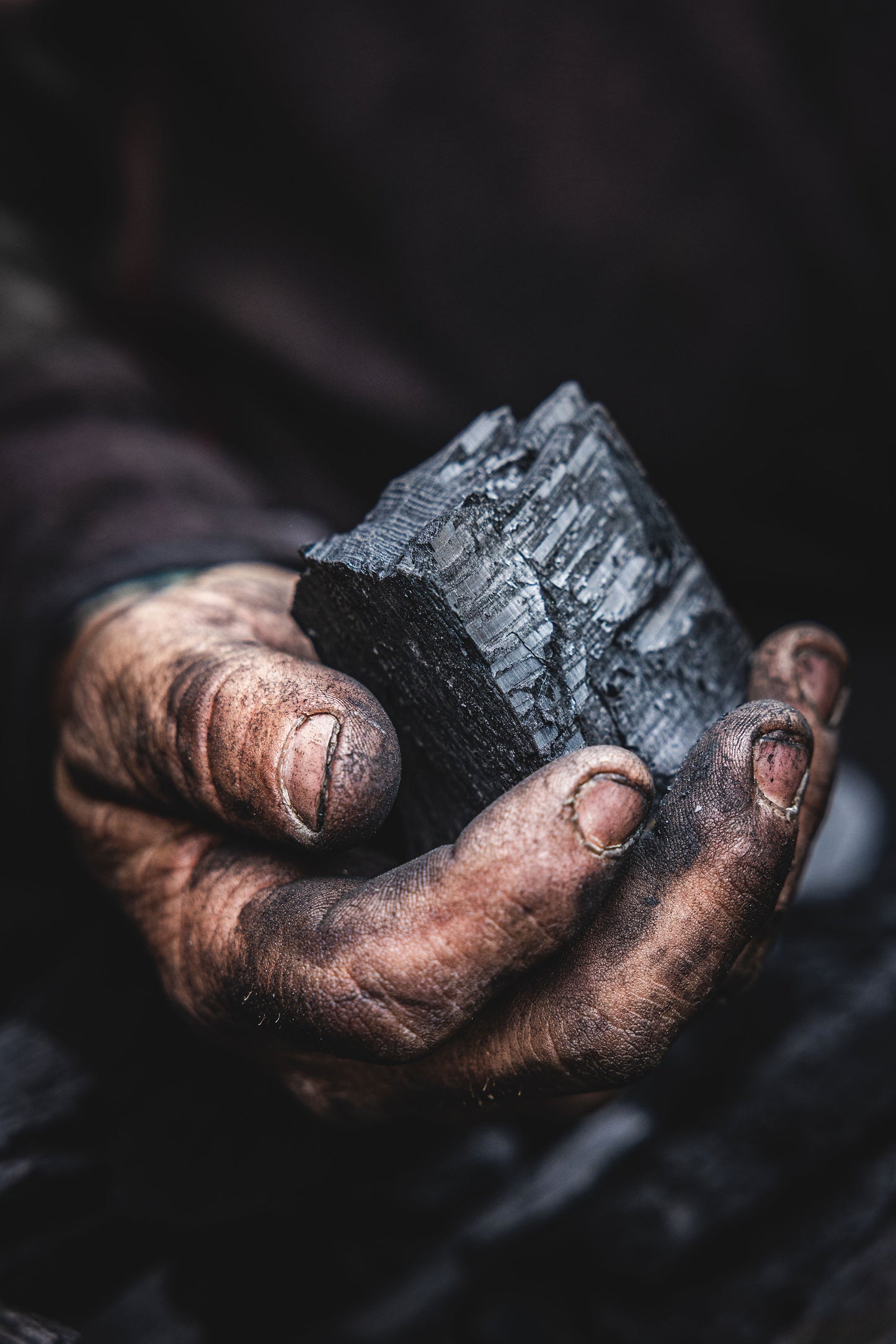 Wild Cherry Charcoal