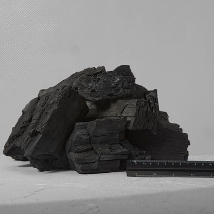 Ash Charcoal