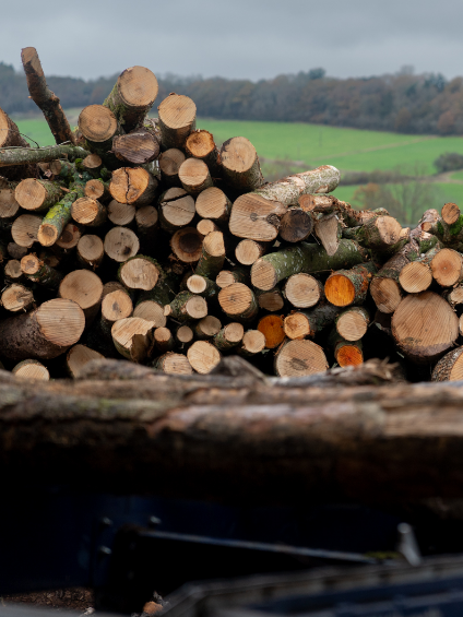 Oak Wood Chunks