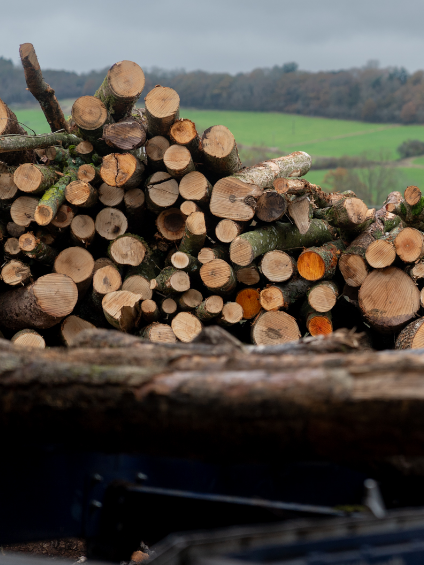 Apple Wood Chunks